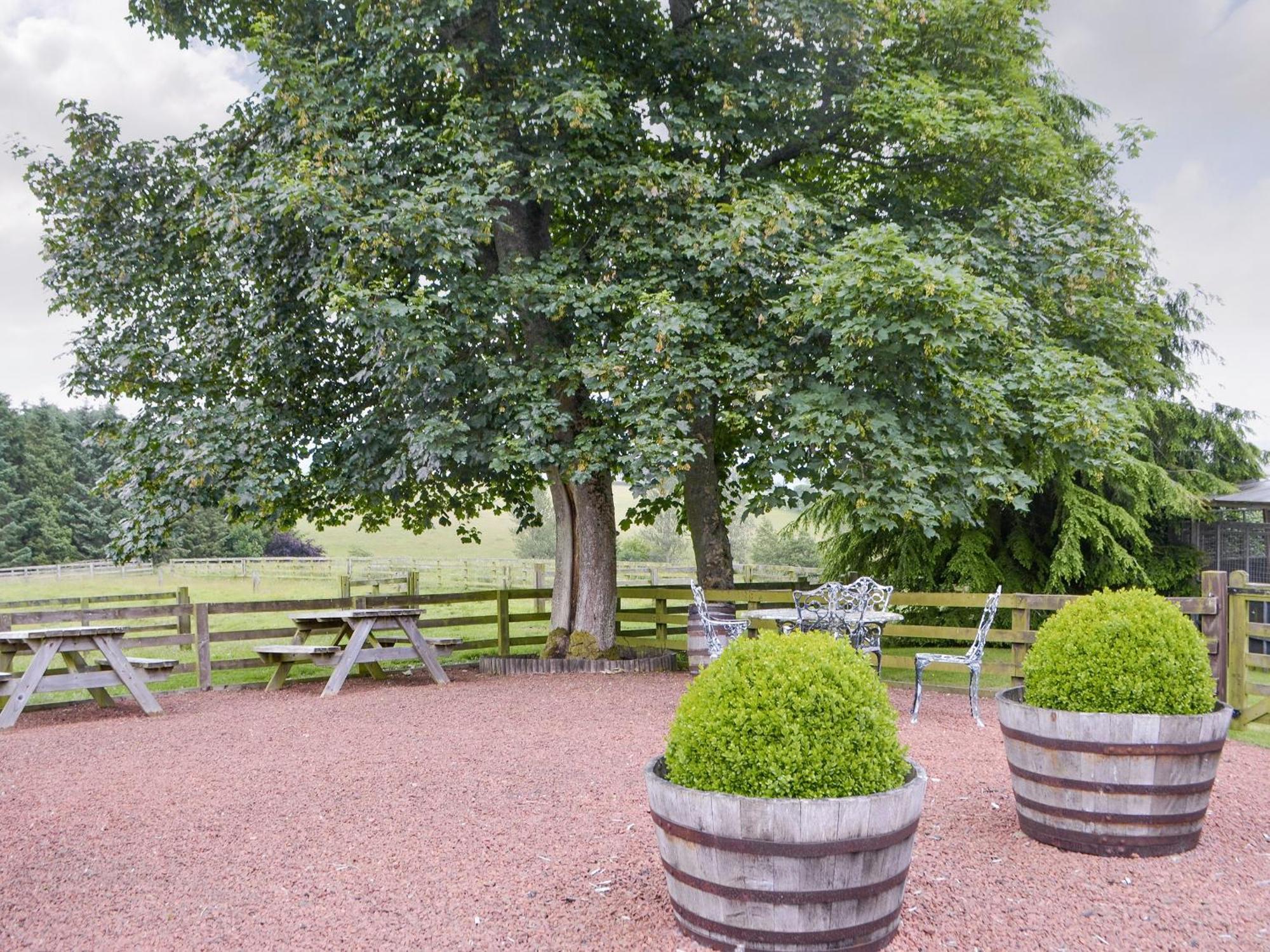Piglet Cottage Elsdon Екстериор снимка